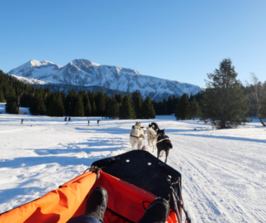 chiens de traineaux chamrousse